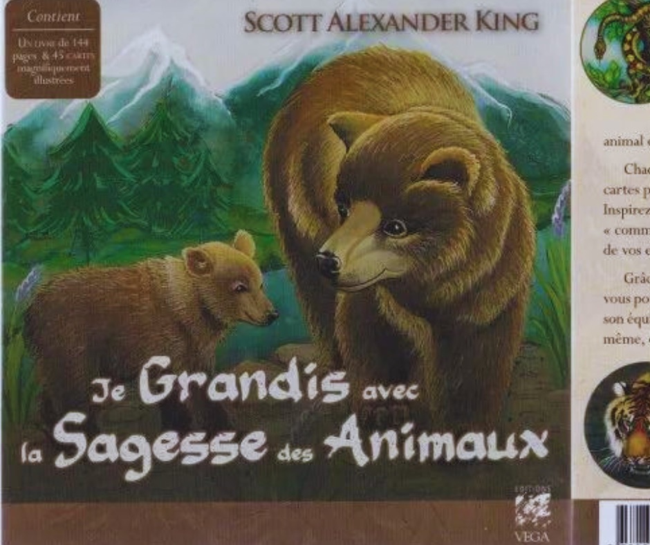 Image de couverture du blog