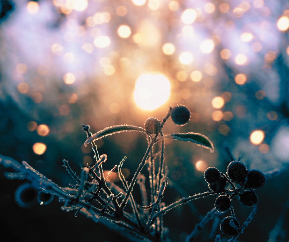 Image de couverture du blog