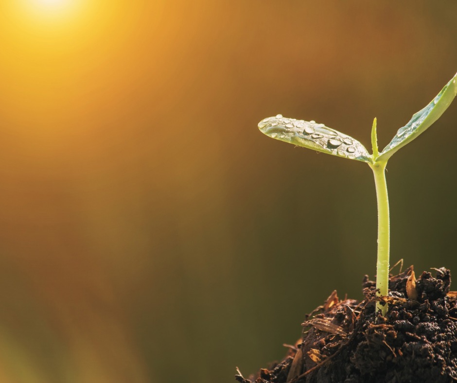 Image de couverture du blog